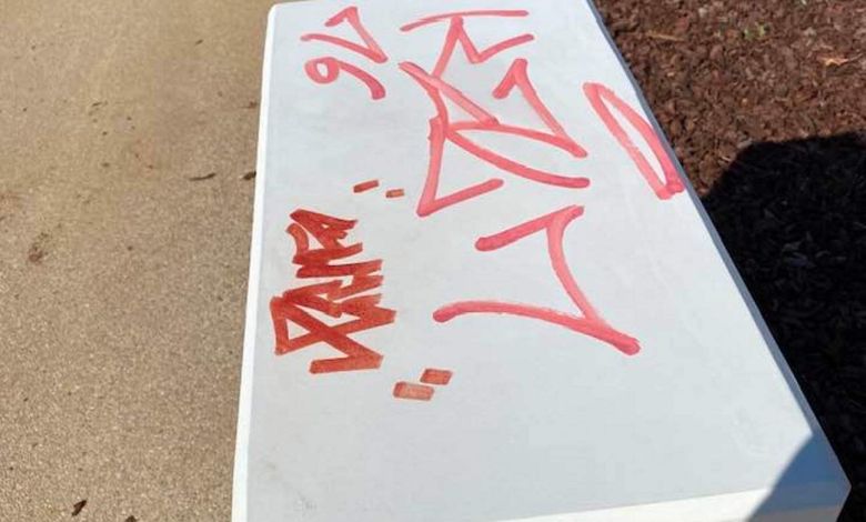 Já começaram os atos de vandalismo no parque do Flecheiro vandalismo 894870614 2798384324036155446 n