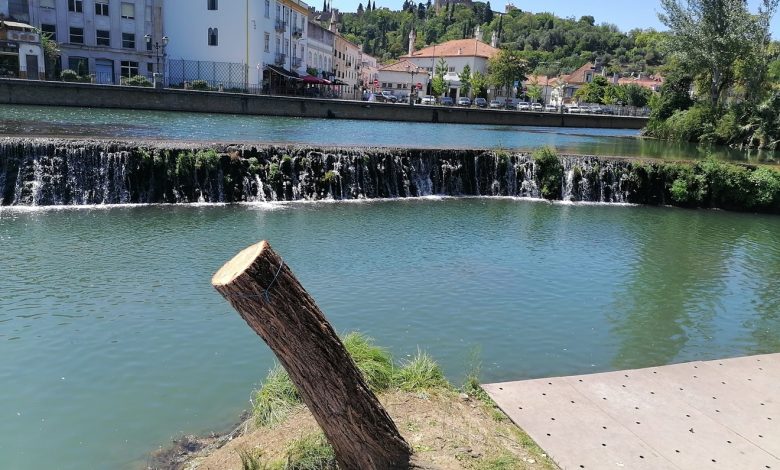 Já não há slide na zona desportiva de Tomar arvore chorao IMG 20240825 135113