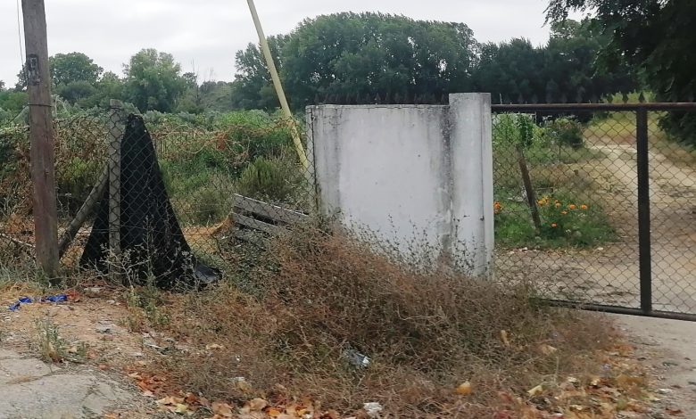 Roubaram cabo de telecomunicações em Marmelais hortas IMG 20240902 141737