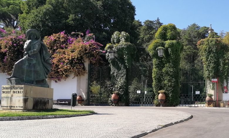Mata dos Sete Montes e castelo fechados até quinta feira devido ao risco de incêndios mata IMG 20240917 114021