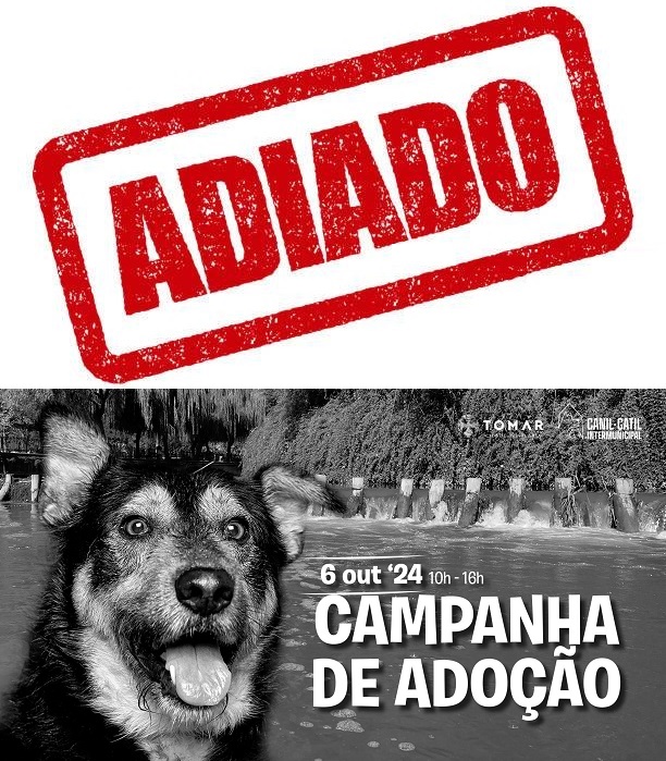 Mau tempo obriga a cancelar eventos 462055073 835567342124288 5495233666628974026 n
