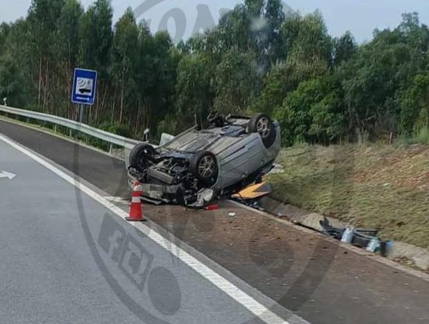 Carro despista-se na A23 despiste a23 2 1172084648255991 8285479009840250560 n