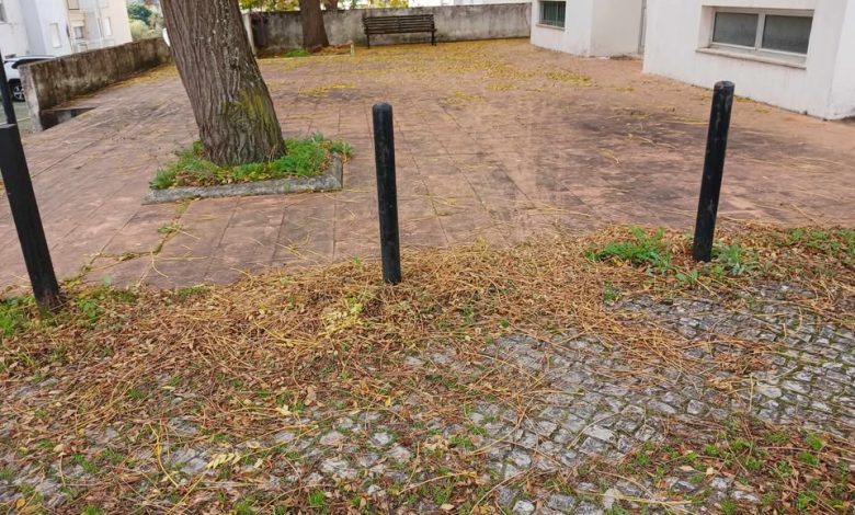 Moradora queixa-se de falta de limpeza folhas 997352885533659 1580373392381968777 n