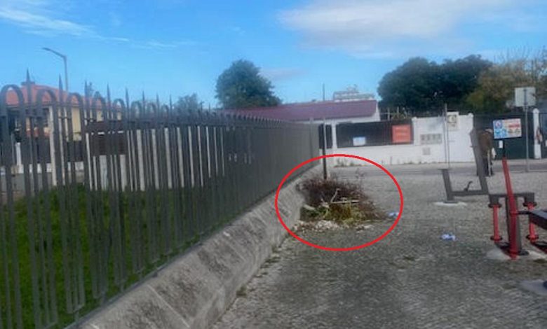 Lixo acumulado há meses junto à escola Jácome Ratton lixo unnamed