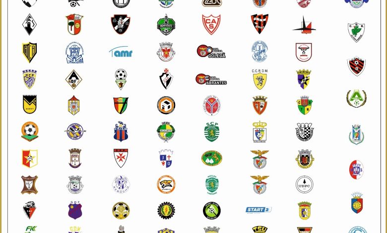 Associação de Futebol de Santarém tem eleições marcadas para 28 de fevereiro associacao futebol santarem AFS 26591119874579 9183586902470893031 n