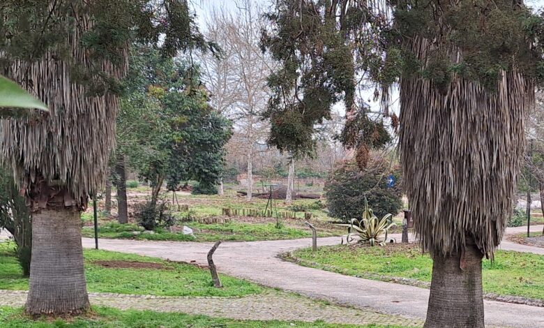 O que estão a fazer ao antigo parque de campismo de Tomar? parque caravanismo 20250119 100340