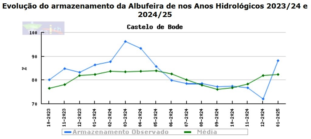 cast bode
