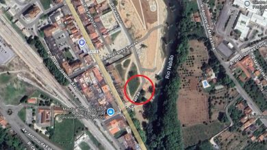 flecheiro exprop