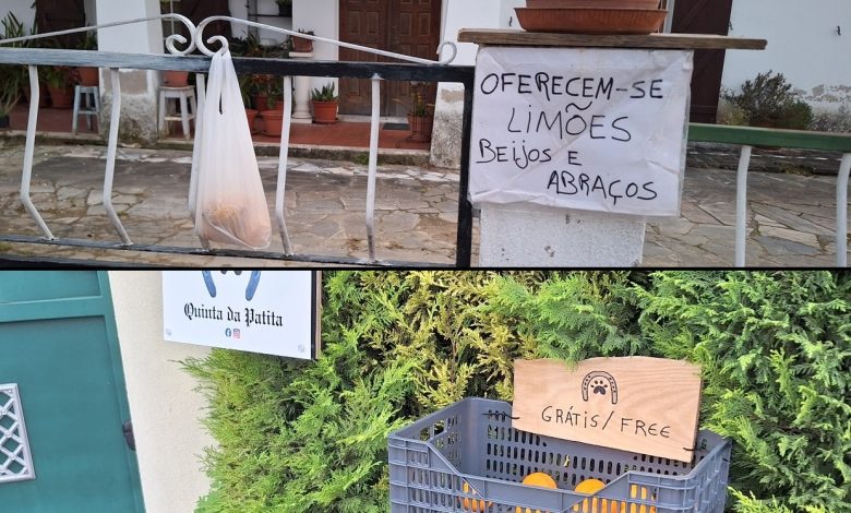 Exemplos a seguir fruta