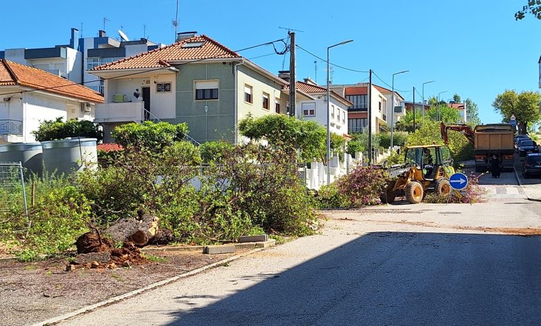 Um dia triste para Tomar e para a natureza (c/ fotos e vídeo) 20250424 110227