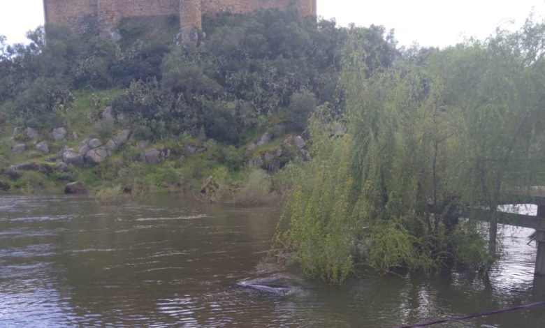 Carro foi parar ao rio Tejo junto ao castelo de Almourol carro tejo IMG 20250422 WA0016