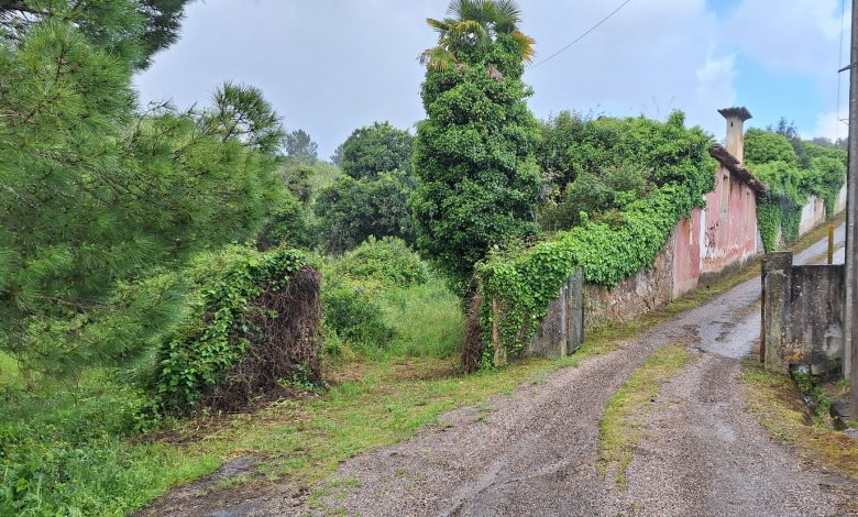 Quinta do Vale Pereiro à venda por 650 mil euros (c/ fotos) quinta do vale pereiro 20250419 102607