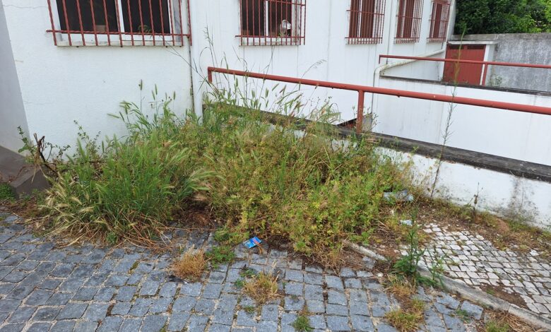 Logradouro da rua da Cascalheira de novo ao abandono logradouro 20250518 170446