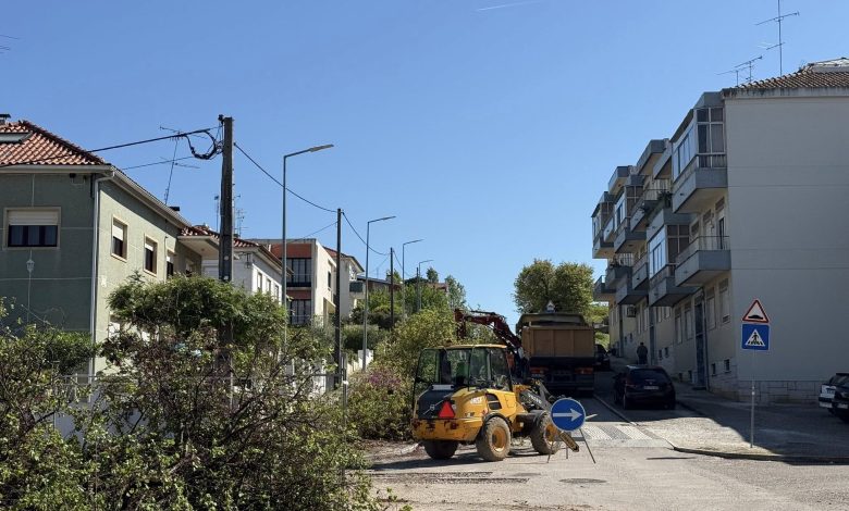 Olaias da Av. Dr. Egas Moniz: A história mal contada de um abate evitável olaias 400332409211 5522546561452406658 n