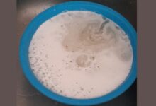 agua Alguidar com agua torneira 28Jul2025