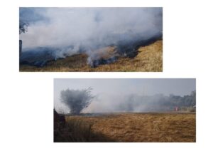 limpeza terrenos INCENDIO 2025 2 2 page 0002