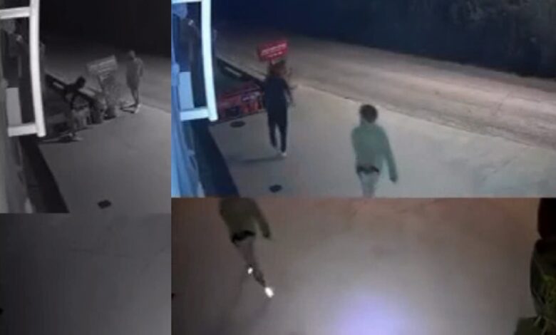 Tentativa de assalto a uma drogaria na freguesia de Paialvo (c/ vídeo) assalt